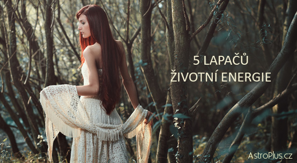 Astroplus 5-LAPAČŮ-ŽIVOTNÍ-ENERGIE | AstroPlus.cz